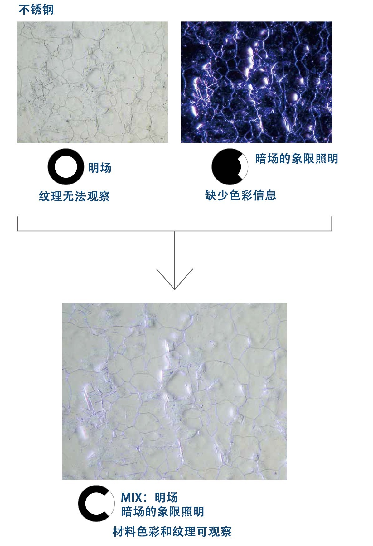 奥林巴斯显微镜|奥林巴斯生物显微镜|奥林巴斯金相显微镜|奥林巴斯倒置显微镜|OLYMPUS显微镜|上海普赫光电科技有限公司